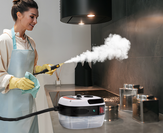 Why Every Home Needs a Handheld Steam Cleaner